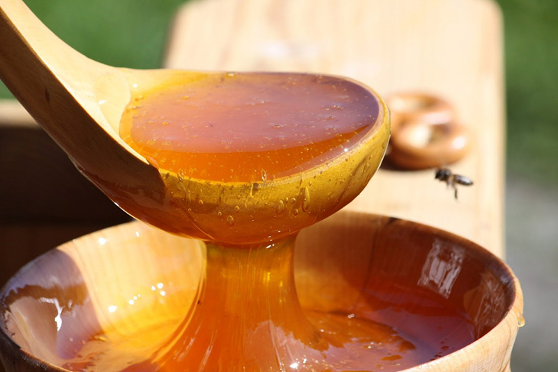 мёд – источник здоровья
